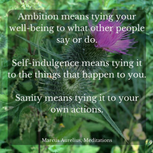 What Ambition Means - Marcus Aurelius