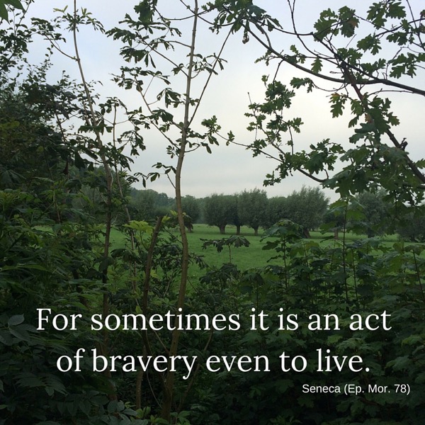www.vansijl.com Act of bravery to live